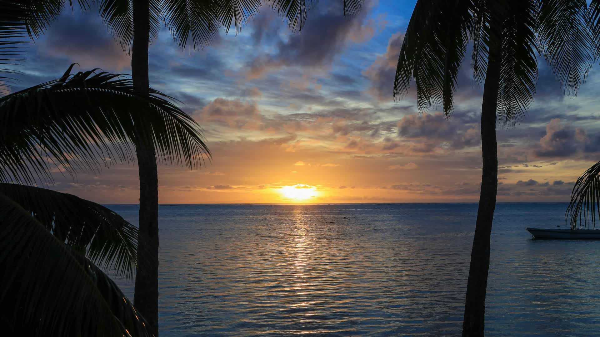 Sunset on the ocean with palm trees in the sight